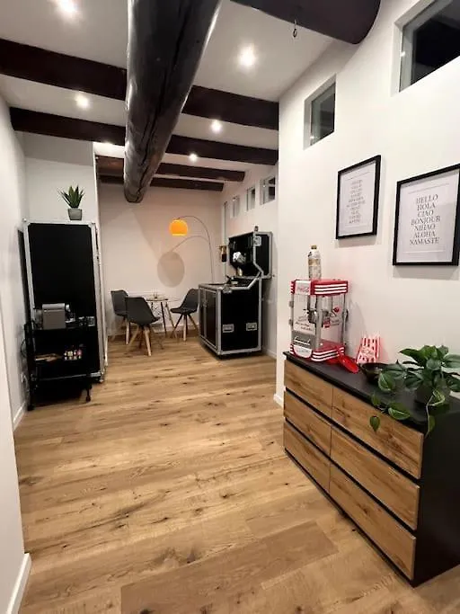 Donaublick Apartment Passau Germany